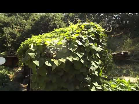 Permaculture στην Ελλάδα.