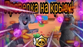 Проверка на крысу в Brawl Stars!