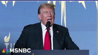 How Donald Trump’s 2016 election subversion changed American politics How Donald Trump’s 2016 election subversion changed American politics