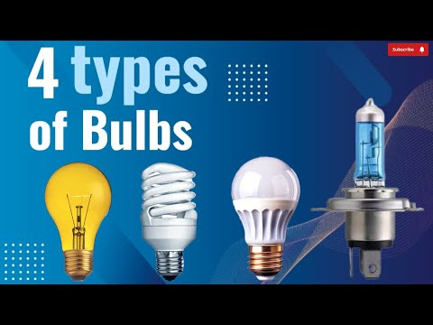 Bulbs | 4