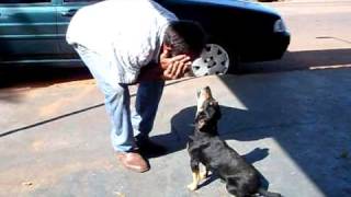 Tutu Chorando Em Santa Monica Pr