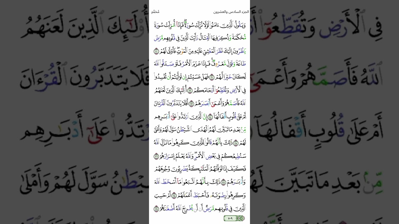 يوسف الصقير/سورة محمد