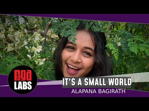 It's a Small World | Alapana Bagirath | Teacher Feature | Raga Labs