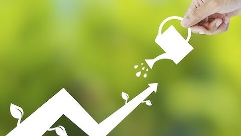 Video 20 - Techniques for Optimizing Customer Loyalty Programs