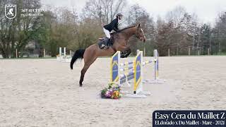 Easy Cera du Maillet Z