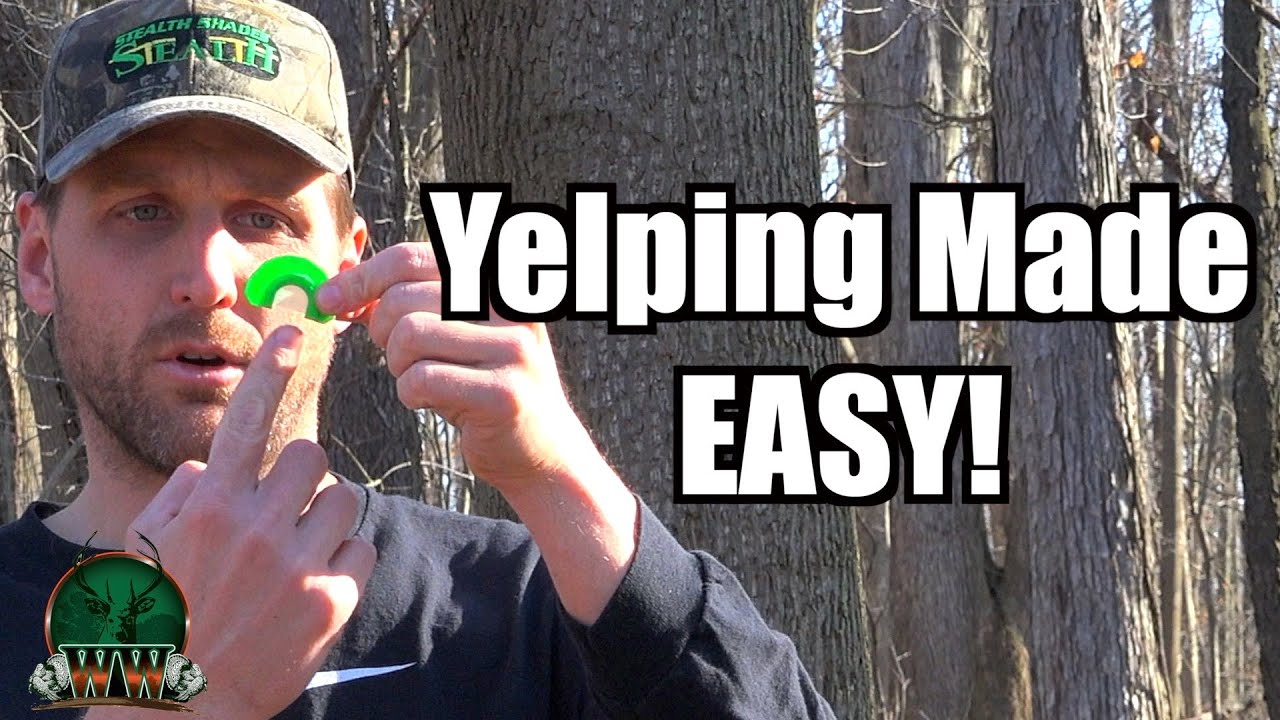 Combo Cut | Versatile Turkey Mouth Call | STRUTT'N Ridge