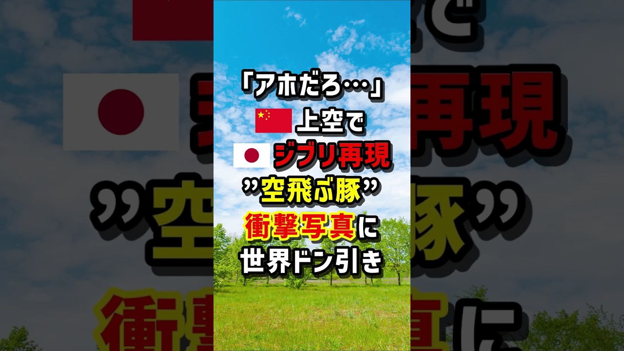 ｢アホだろ…｣🇨🇳上空で🇯🇵ジブリ再現“空飛ぶ豚”衝撃写真に世界ドン引き　#海外の反応