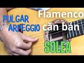 Flamenco Căn Bản: Solea Level 2 B-C - Pulgar, Arpeggio