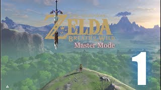 breath of the wild master mode playthough