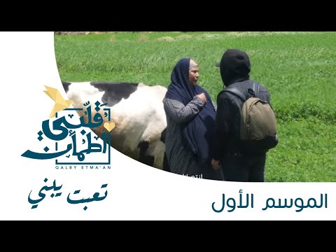 برنامج قلبي اطمأن الحلقة السادسة تعبت يبني مصر