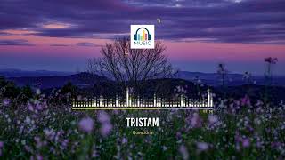 Tristam - Questions