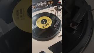 LOS CHICANOS - LA NOCHE Y MI AMOR. TRIO