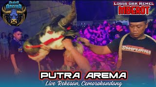 P. Mberot,, PUTRA AREMA Live Rekesan, Cemorokandang ,, Edisi Kalapan Banteng 30/12/2023