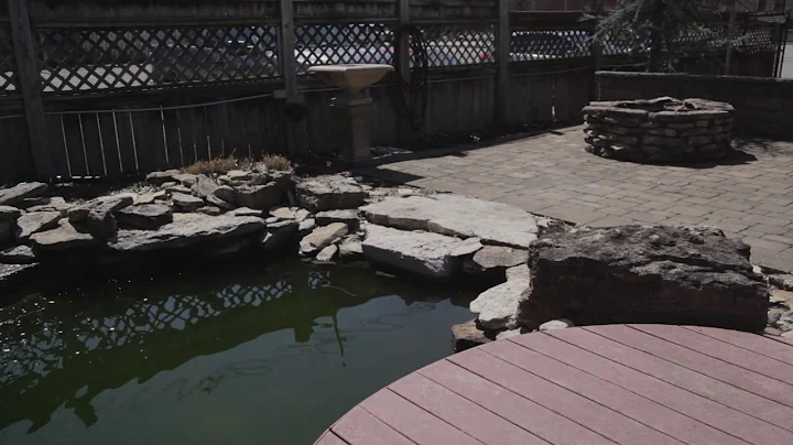Terry Knauer, Economy Aquatic Gardens on My Southe...