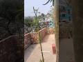 ছাদে সবজির চাষ,অনেক সবজি ধরেছে।