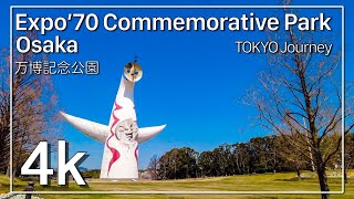[4K]Osaka Expo '70 Commemorative Park - Cherry blossoms in full bloom at Expo '70 Commemorative Park