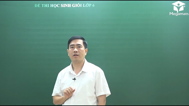 Bo de thi học sinh giỏi toán 6 violet năm 2024