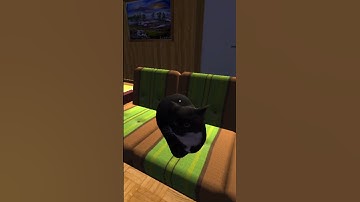 DINGUS в My Summer Car #shorts