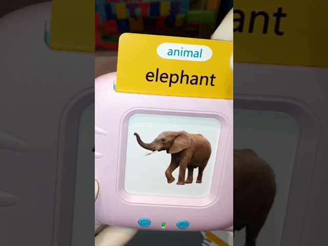 TOY ASMR🧲🎎Alphabet ABC | Electronic Reading Machine Learn about Animals, birds, fish & it's sounds!