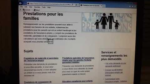MAGic with JAWS reading a Web page