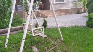 Ягдтерьер Мелитополь