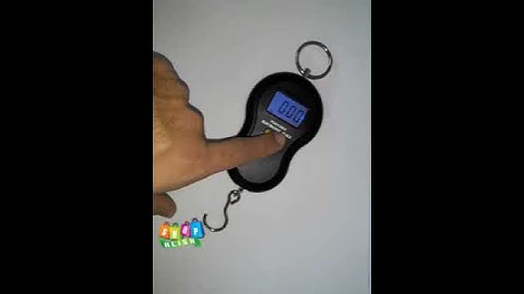 Portable electronic scale