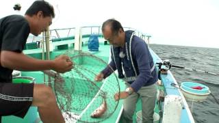 #042 人生をもっと楽しむための調味料　ワインそして釣り