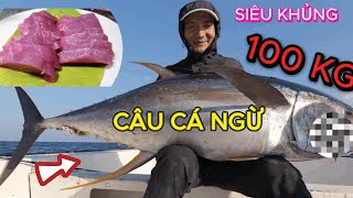 CÂU CÁ NGỪ TRÊN BIỂN Ả RẬP. CHẾ BIẾN SASIMI SIÊU NGON.TUNA FISHING ON THE ARAB SEA