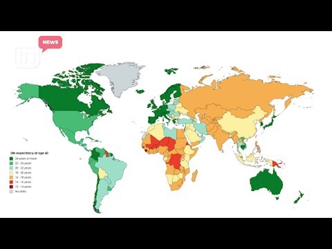 Video: Sa është jetëgjatësia mesatare e një petë?