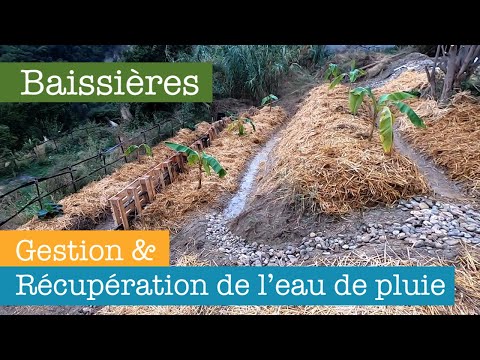 Baissières ou Comment récupérer et stocker / gérer l'eau de pluie en Permaculture ? (Swales)