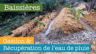 Baissières ou Comment récupérer et stocker / gérer l'eau de pluie en Permaculture ? (Swales)