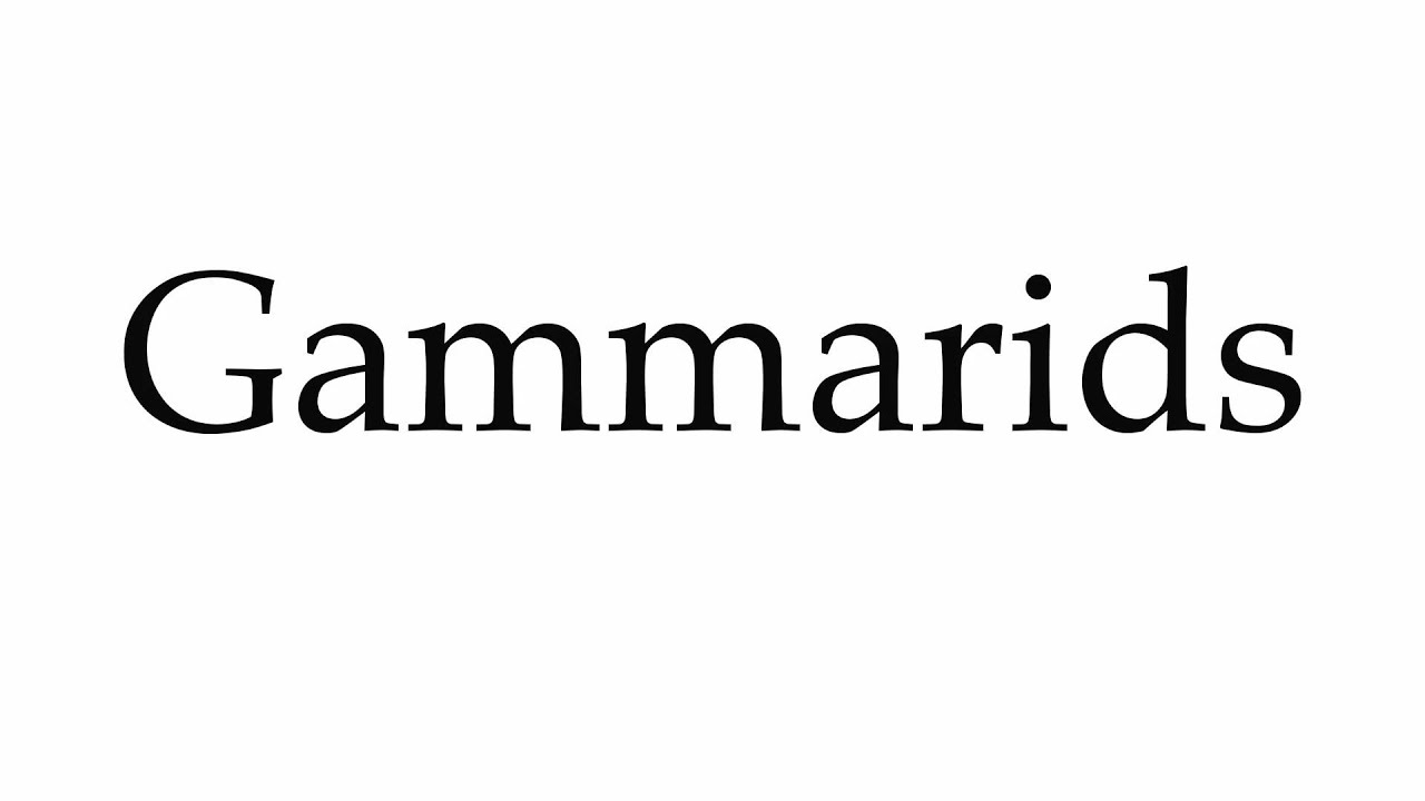 How to Pronounce Gammarids