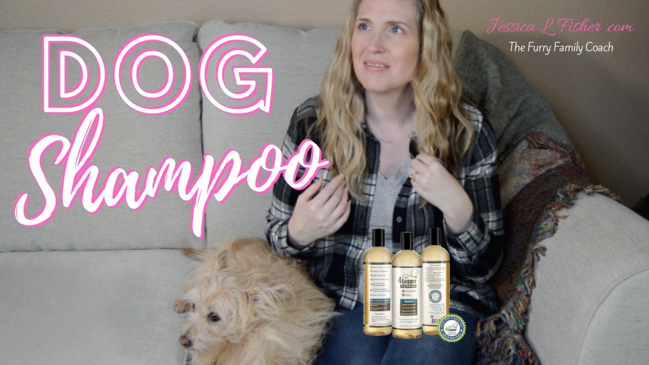 What Shampoo Should I Use To Bathe My Dog 🐶 ? YouTube