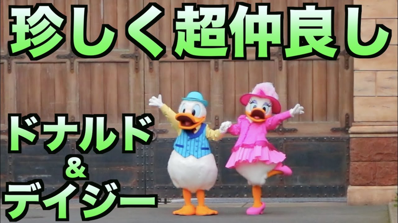 ドナルド デイジーが珍しくラブラブすぎて目のやり場に困る ディズニーシー Youtube ドナルド デイジーが珍しくラブラブすぎて目のやり場に困る ディズニーシー Youtube
