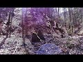 Dreiecke Ritu-Nemeton