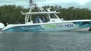 FFMD Trial