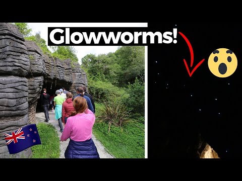 Video: Waitomo Glowworm Caves: Hướng dẫn Hoàn chỉnh