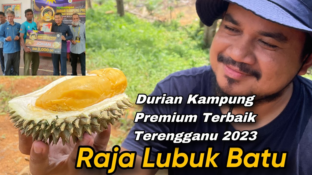 Pokok usia lebih 40 tahun hasil durian kampung terbaik Terengganu