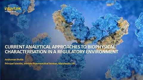 Current Analytical Approaches to Biophysical Characterization in a Regulatory Environment