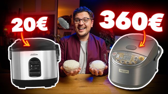 Worth It? $200 Rice Cooker VS $30 Blind Taste Test! 