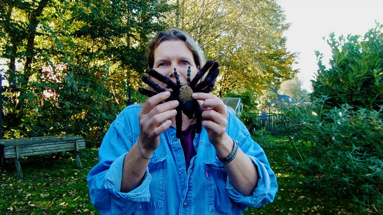 Alles over de GRIEZELIGE Spin!? - Juf In De Natuur