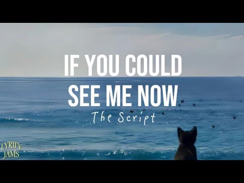 IF YOU COULD SEE ME NOW | The Script