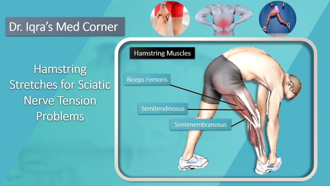 How To Fix Sciatic Nerve Tension Hamstring Stretches for Sciatic Nerve Tension Problems and high neural