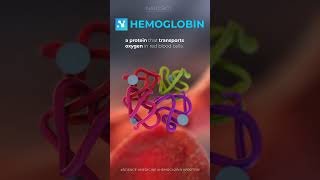 Hemoglobin #shorts #reels