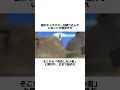 #ロブロックス #物や人を飛ばす #ホラー #都市伝説 #フィクション