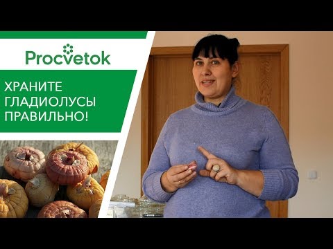 Видео: Зимнее хранение луковиц - Советы по хранению луковиц зимой