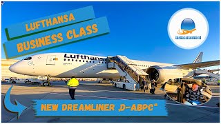 Business Class ✈️ Lufthansa's third Dreamliner back to Frankfurt ⎢ Flightreport ⎢ thevacationworld