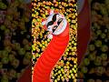 SNAKE LITE WORM 🐛 SNAKE GAME LIVE STREAM 💸 #snakeliteworm #youtubeshorts #trending #reels #viral
