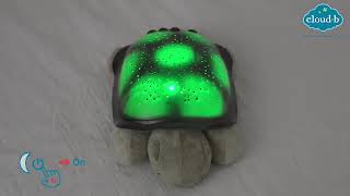 Cloud B Twilight Turtle Classic Night-Light Projector