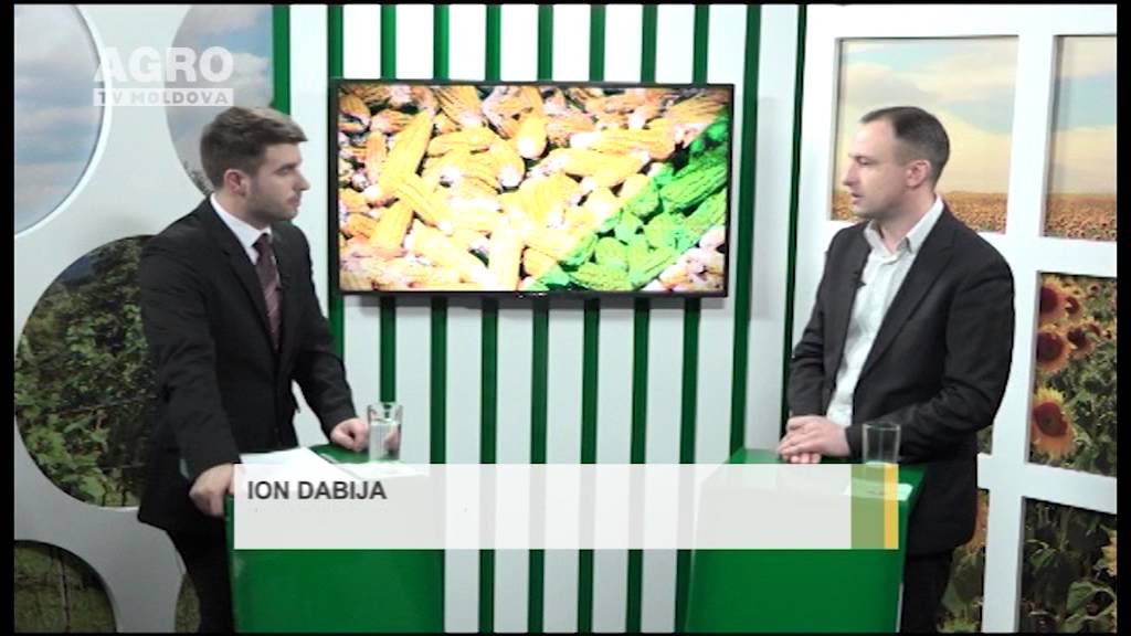 Cum ne dăm seama că ne-am intoxicat